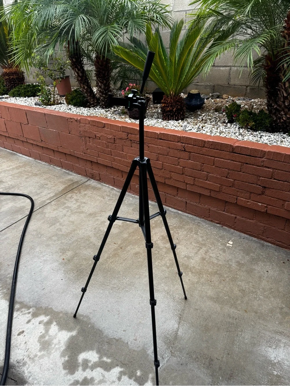 Black Camera Tripod with Bluetooth Control - Adjustable Lightweight Stand